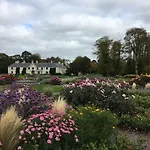 Lejlighed Beautiful Killarney